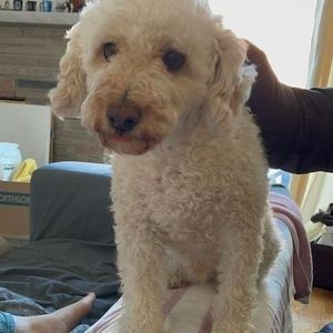 Meet your Posher, 伸恵